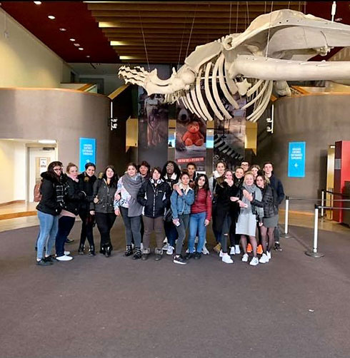 Visite du musée des Sciences Naturelles de Bruxelles